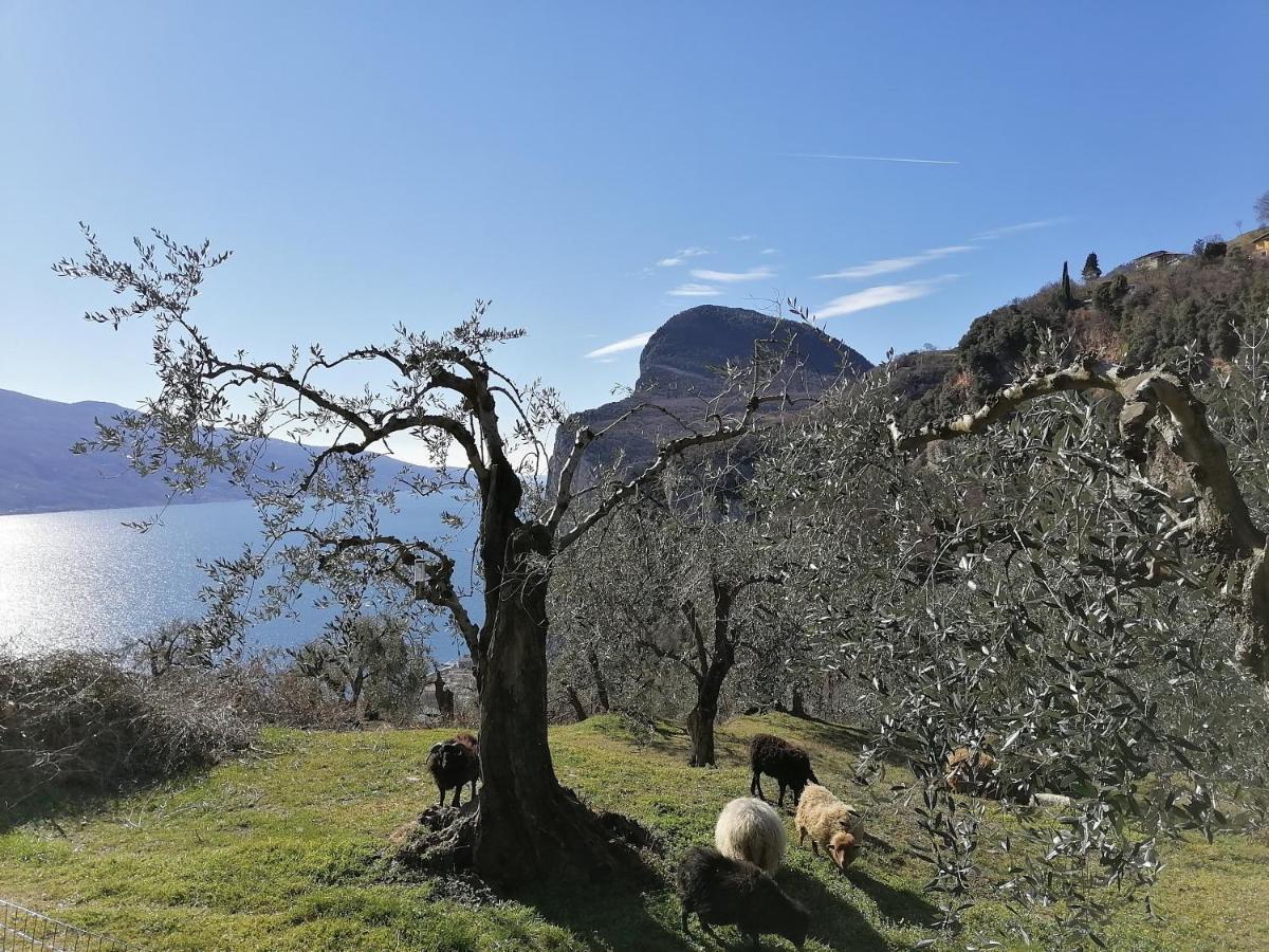 Casetta Delle Olive Tremosine Exterior photo