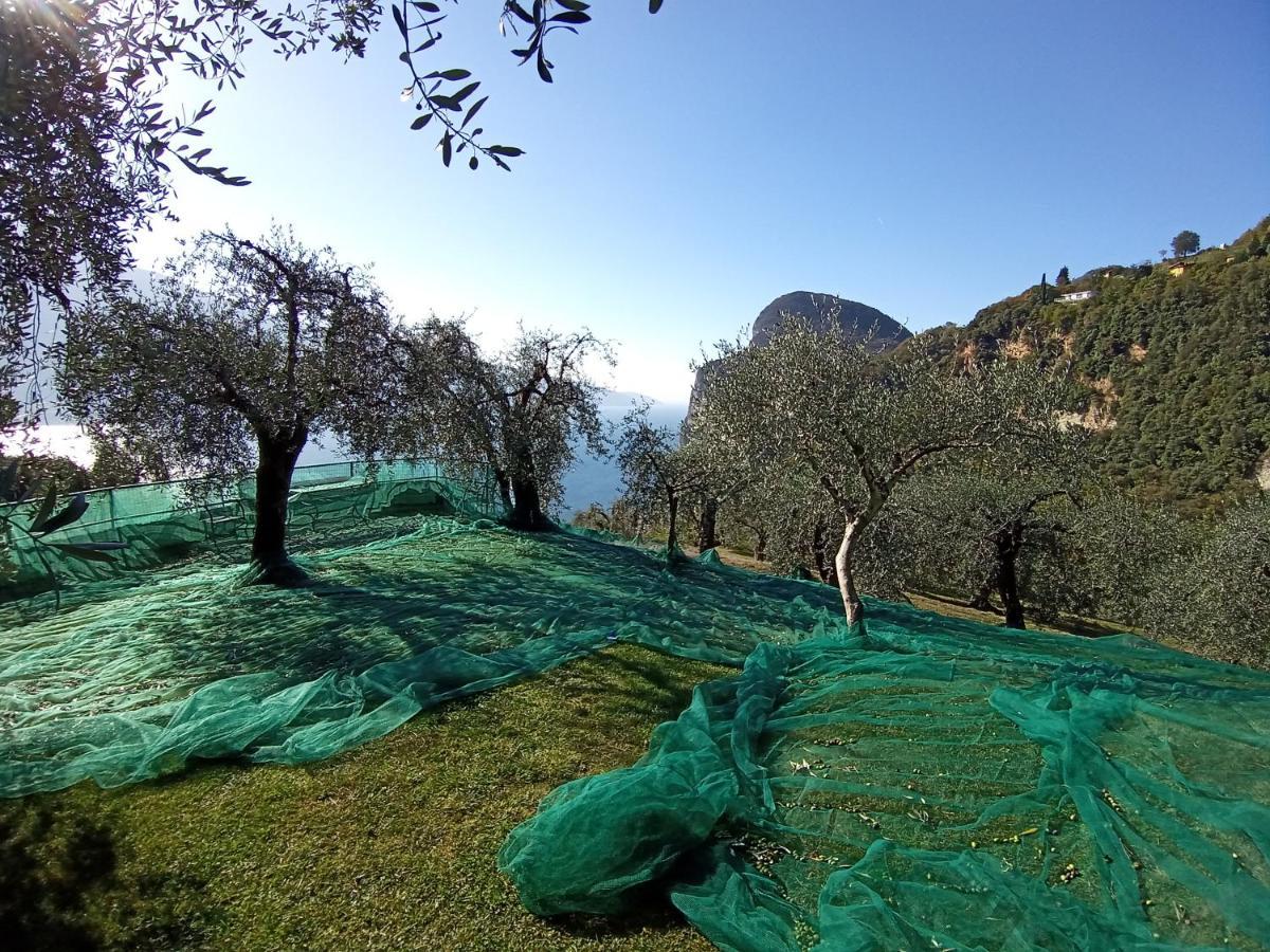 Casetta Delle Olive Tremosine Room photo